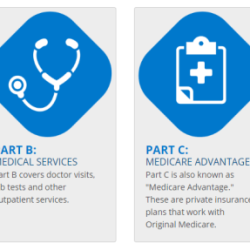 Medicare advantage insurance plans parts medicaid stock components cover health virginia supplemental understanding know therapy occupational resources similar