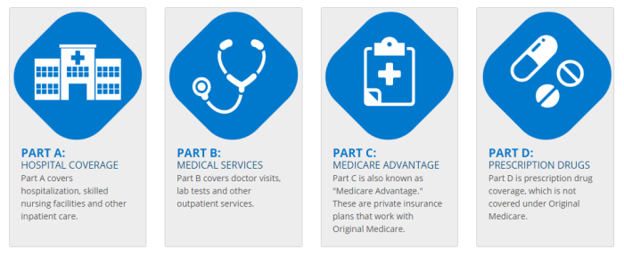 Medicare advantage insurance plans parts medicaid stock components cover health virginia supplemental understanding know therapy occupational resources similar