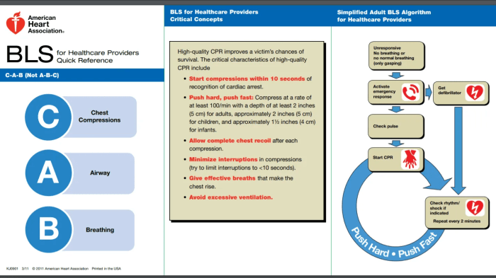 Aha bls skills testing checklist 2022