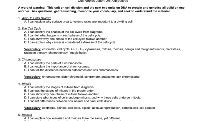 Section 11-4 meiosis pdf answer key