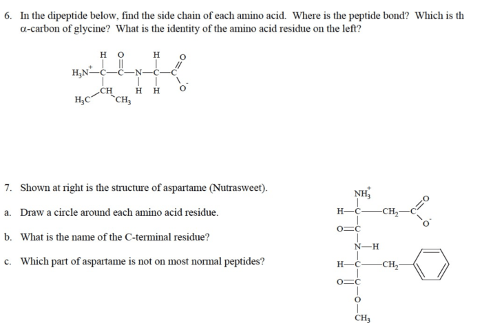 Identify the sidechain in the dipeptide