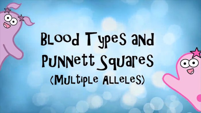 Amoeba sisters video recap multiple alleles blood types answer key