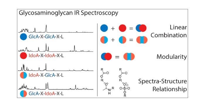 Spectrum ir functional formula groups shown bond compound below show molecule solved present